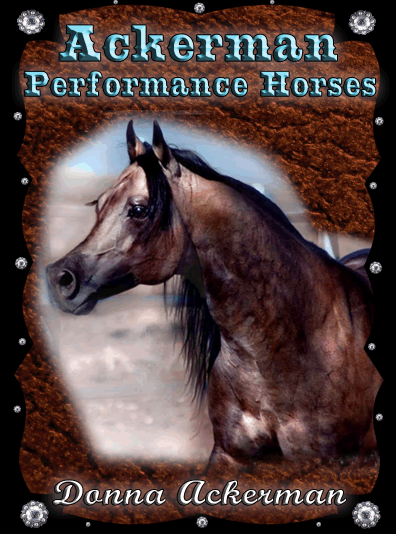 Ackerman Performance Horses